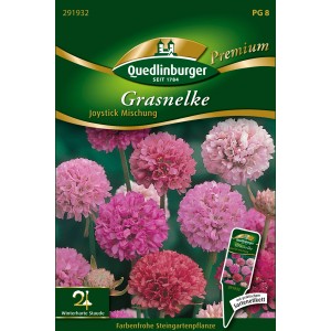 Packung Quedlinburger Grasnelken 'Joystick Mischung' Blumensamen mit rosa, roten und weißen Blüten.