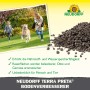 Neudorff Terra Preta Boden-Verbesserer: Kinder und Hund spielen auf Rasen, Haufen Terra Preta im Vordergrund.