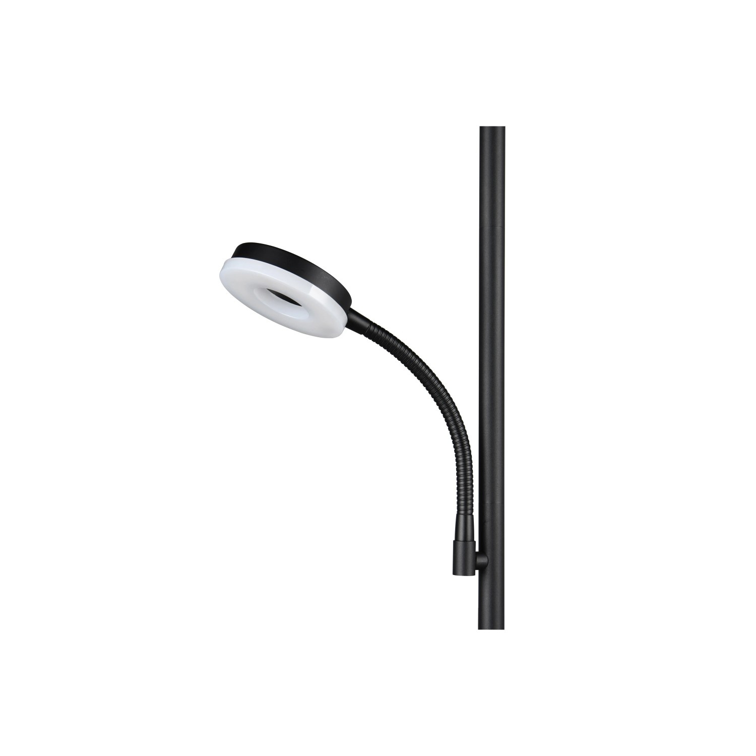 Schwarze Reality LED Stehleuchte Specter mit flexiblem Lesearm und ringförmigem Leuchtkopf.