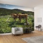 Vlies Fototapete mit Kuhparadies-Motiv, 450x280 cm.