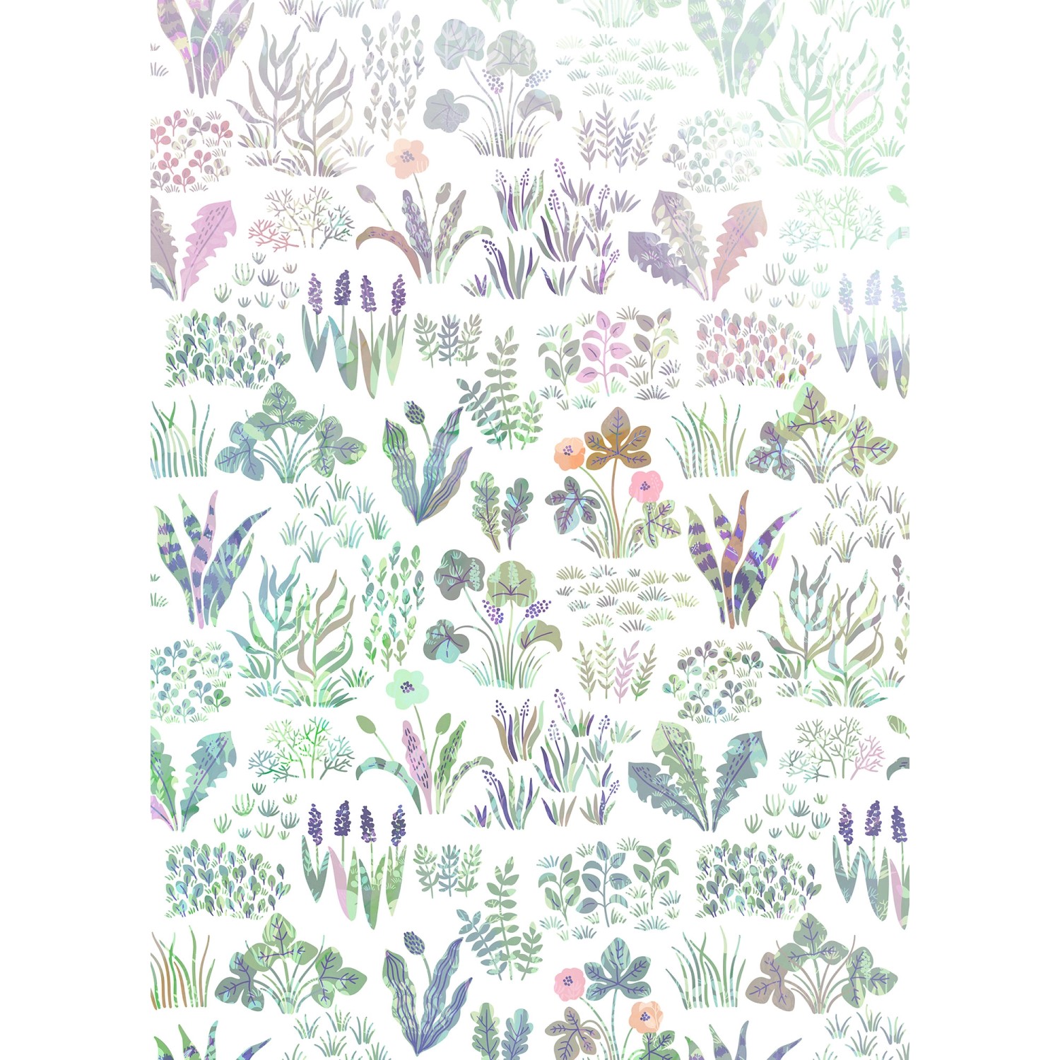 Sanders & Sanders Fototapete Wildblumen Multicolor 200 x 280 cm 612129 günstig online kaufen