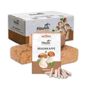 Hawlik Pilzbrut Braunkappe Pilzbeet-Set für Einfache Pilzzucht Im Garten mit Substrat und Myzel inkl. Anbau-Anleitung