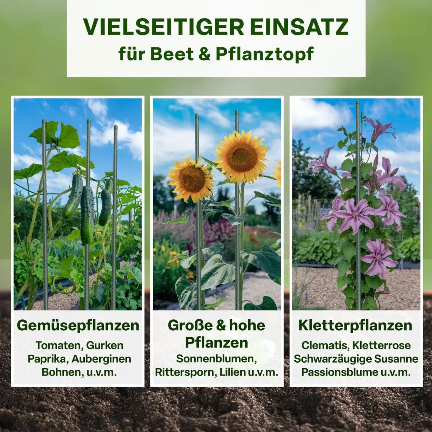 TTL GARDEN Rankstäbe 90cm 11mm 5er Set Kunststoffbeschichtet Grün Pflanzstäbe Rankhilfe Für Tomaten Bohnen Gurken Blumen Gewächshaus_6