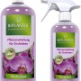 Biplantol Orchideen Spray Set: 2 Flaschen Orchideendünger zur Pflanzenstärkung und Förderung der Blühfreudigkeit.