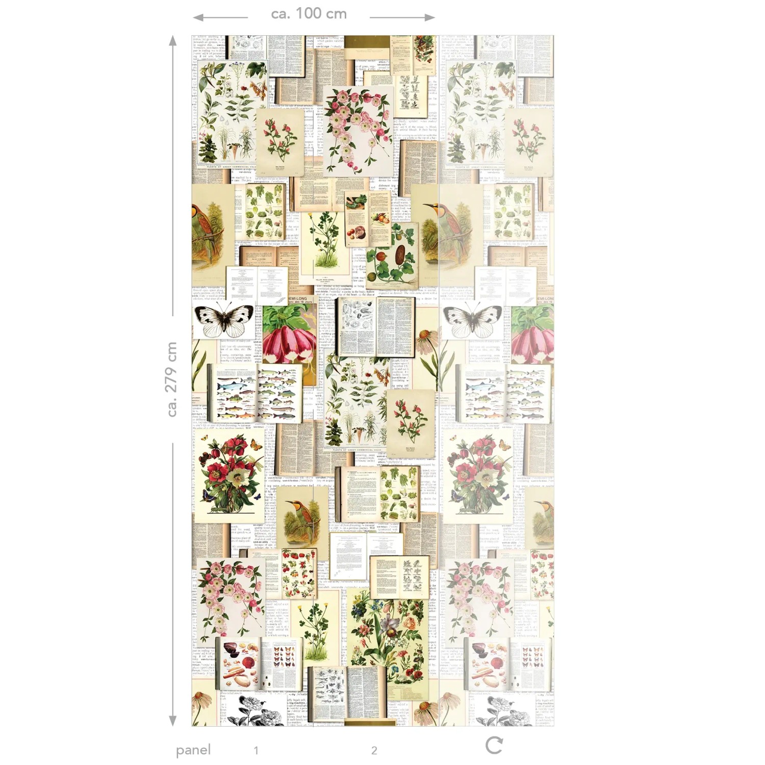ESTAhome Fototapete mit botanischen Motiven in Beige, Grün und Rosa, 100x279 cm. Florale Wandgestaltung für Wohnräume.