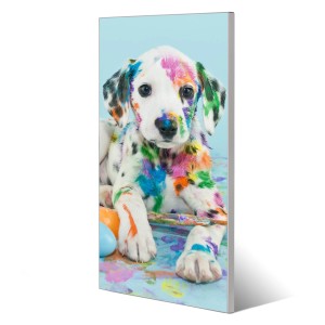 Bunte Magnettafel mit Dalmatiner Motiv. 37x78cm Magnetwand für Notizen und Deko.