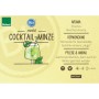 Bio Hugo-Minze Cocktail-Minze Pflanze im Topf. Ideal für den Hugo Cocktail. Winterharte Kräuterpflanze.