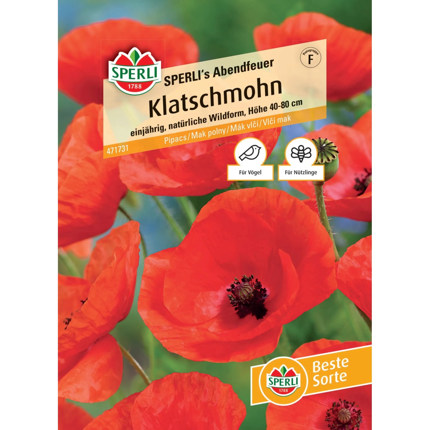 Sperli Klatschmohn "Sperli's Abendfeuer" Papaver rhoeas