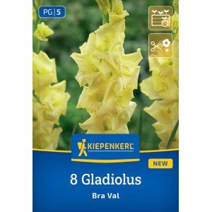 Kiepenkerl Blumenzwiebeln Gladiole Bra Val
