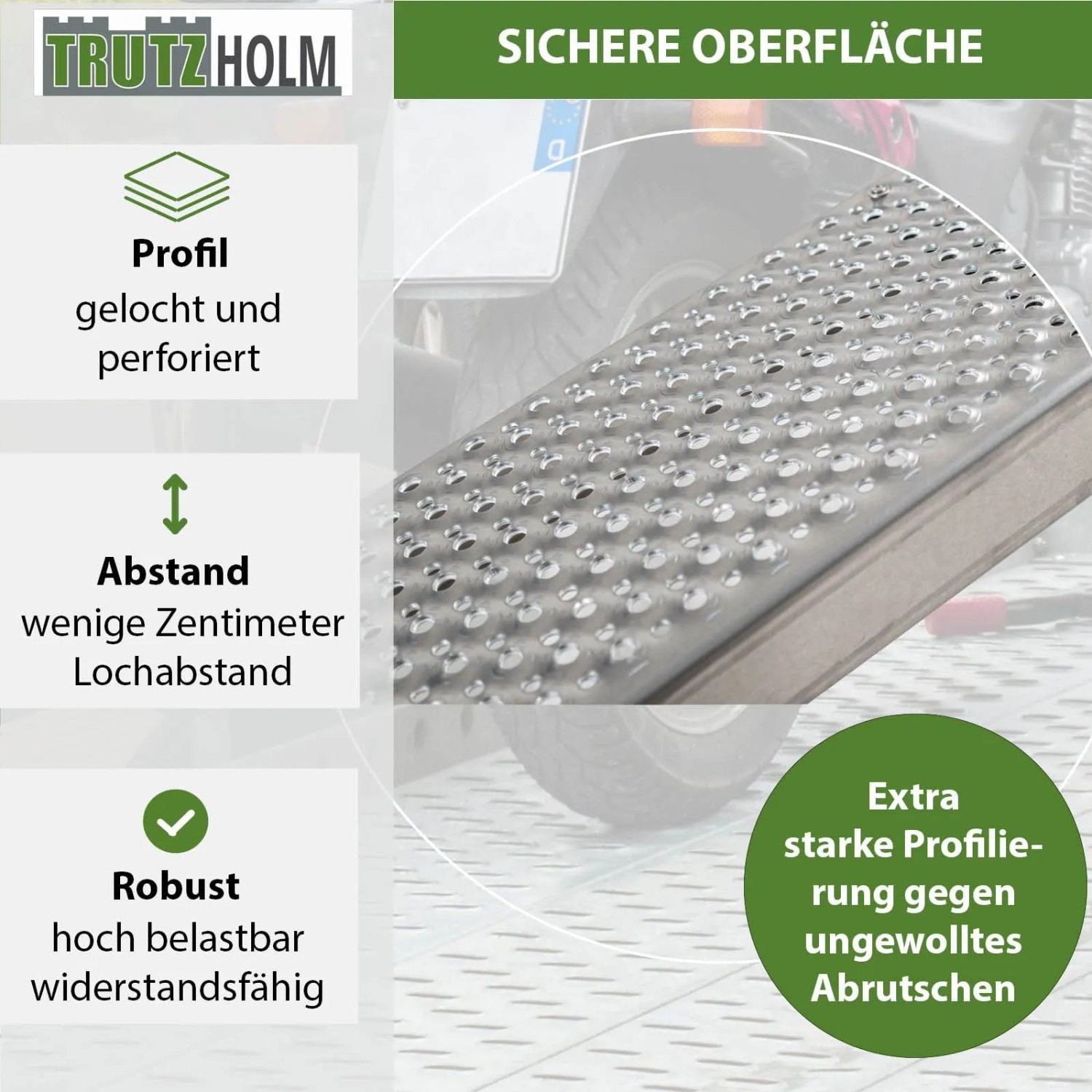 TRUTZHOLM 2x Auffahrrampen 250 cm Traglast 1000 kg Alu Grau_5