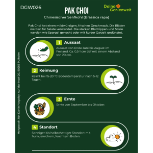 Infografik: Pak Choi Samen Anbauanleitung. Zeigt Aussaat, Keimung, Ernte und Standort für das Blattgemüse.