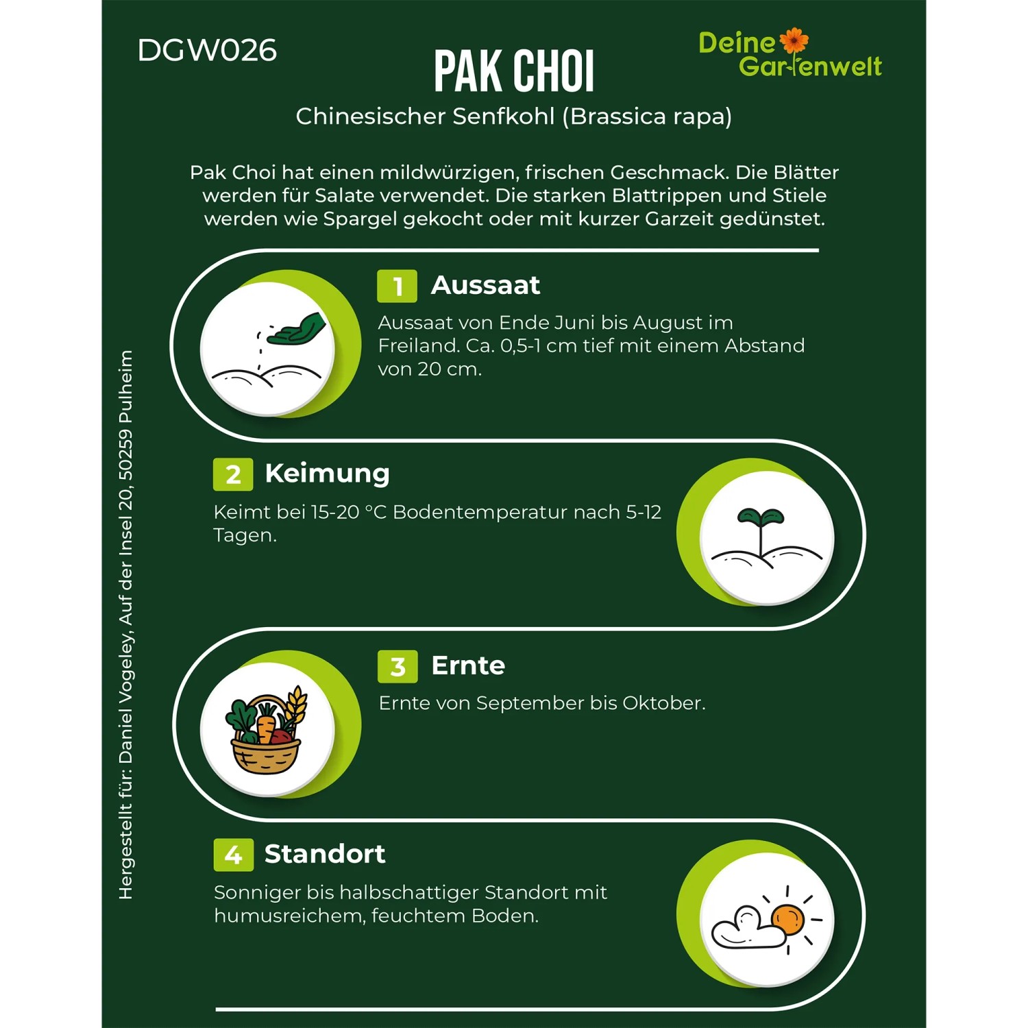 Infografik: Pak Choi Samen Anbauanleitung. Zeigt Aussaat, Keimung, Ernte und Standort für das Blattgemüse.