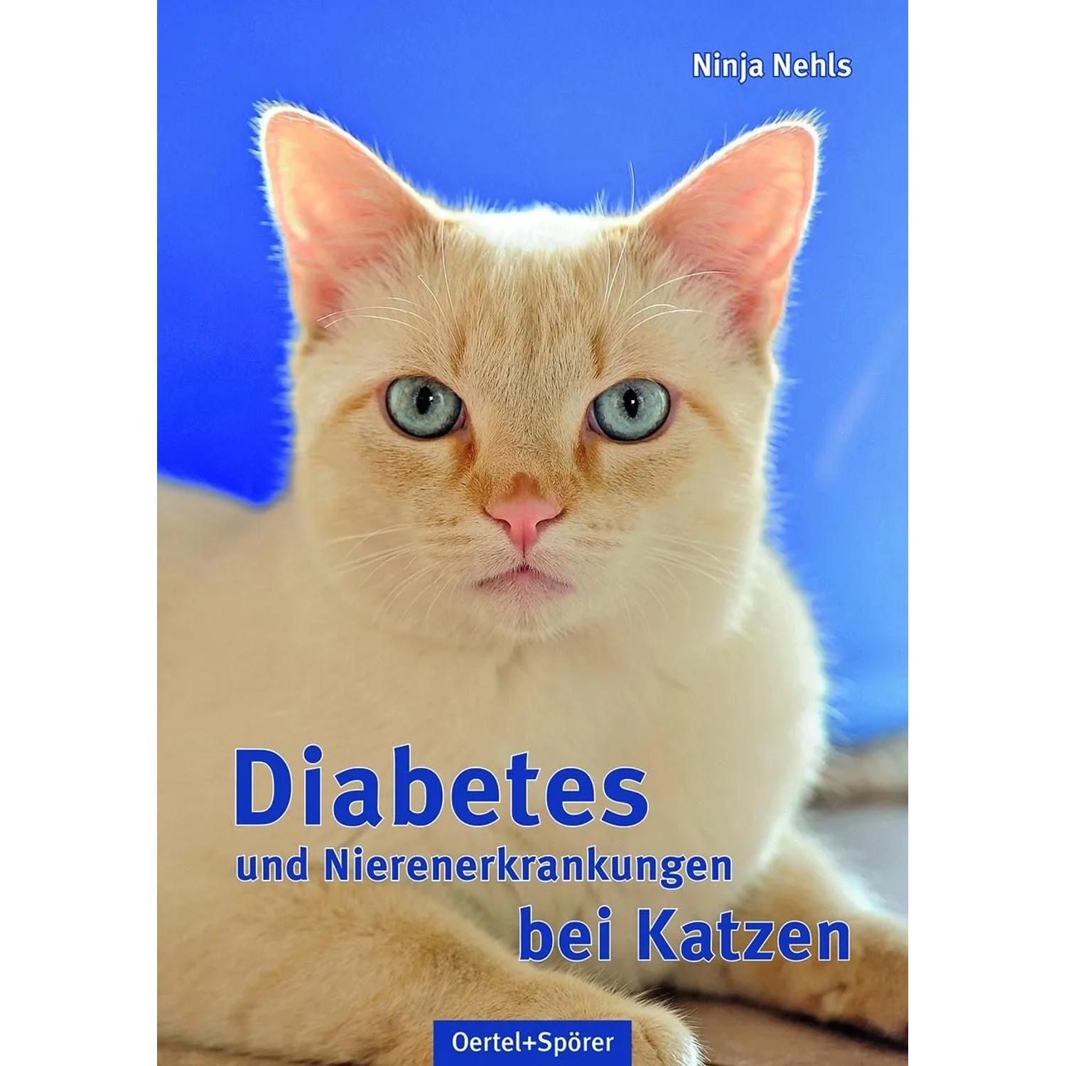 Diabetes und Nierenerkrankungen bei Katzen