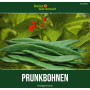 Frische grüne Prunkbohnen mit roten Blüten und Blättern. Feuerbohnen Samen für den Garten.