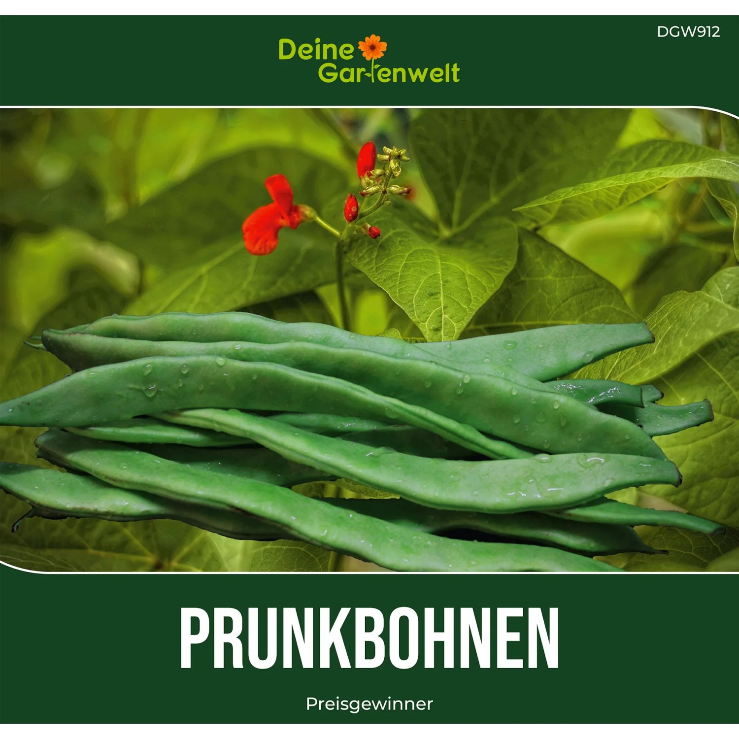 Deine Gartenwelt Prunkbohne Feuerbohne Preisgewinner Samen