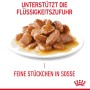 Royal Canin Light Weight Care Katzenfutter, feine Stückchen in Soße auf einem Teller.