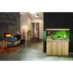Juwel Aquarium-Set Rio LED helles Holz 350 l, Komplettset mit Fischen und Pflanzen.