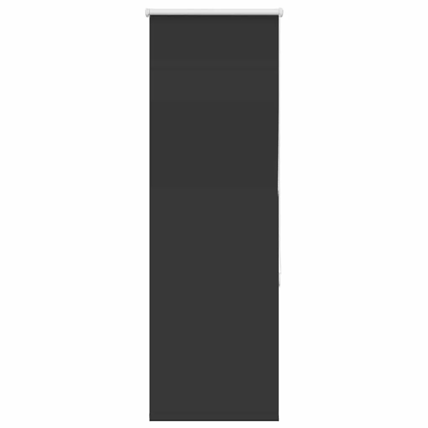 vidaXL Verdunkelungsrollo Schwarz 60x130 cm Stoffbreite 55,7 cm 4010834 günstig online kaufen