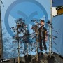 Sunny-Tree Schlafbaum Albizia Julibrissin Summer Chocolate 150 cm Winterharter Baum mit Rosa Blüte Seidenakazie_4