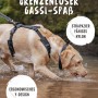 Hund mit Rudelkönig Hundegeschirr Paola XL, gepolstertes Brustgeschirr aus Nylon im Wasser.