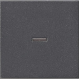Gira Kontroll-Wippe System 55 in Anthrazit für Schalterprogramme.