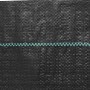vidaXL Unkrautvlies Schwarz 2x150 m PP 4005197_5