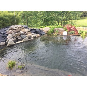 Gartenteich mit schwarzer Aquagart PVC Teichfolie, Steinen und Bepflanzung.