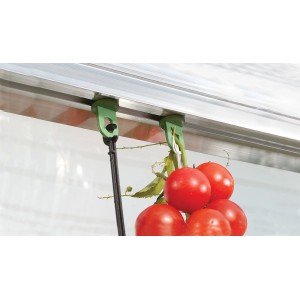 Pflanzenhalter aus Kunststoff im Gewächshaus mit Tomatenpflanze.