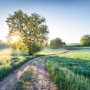 Komar Fototapete: Weg durch grüne Landschaft mit Sonnenaufgang, 400x250 cm.