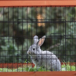 Grauer Hase im Relaxdays Hasenstall aus Tannenholz mit schwarzem Stahlgitter.