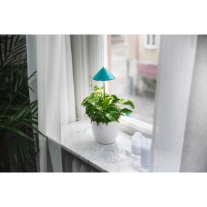 Petrolfarbene LED-Pflanzenlampe Sunlite 7W von Parus by Venso für Pflanzenanzucht im Topf.
