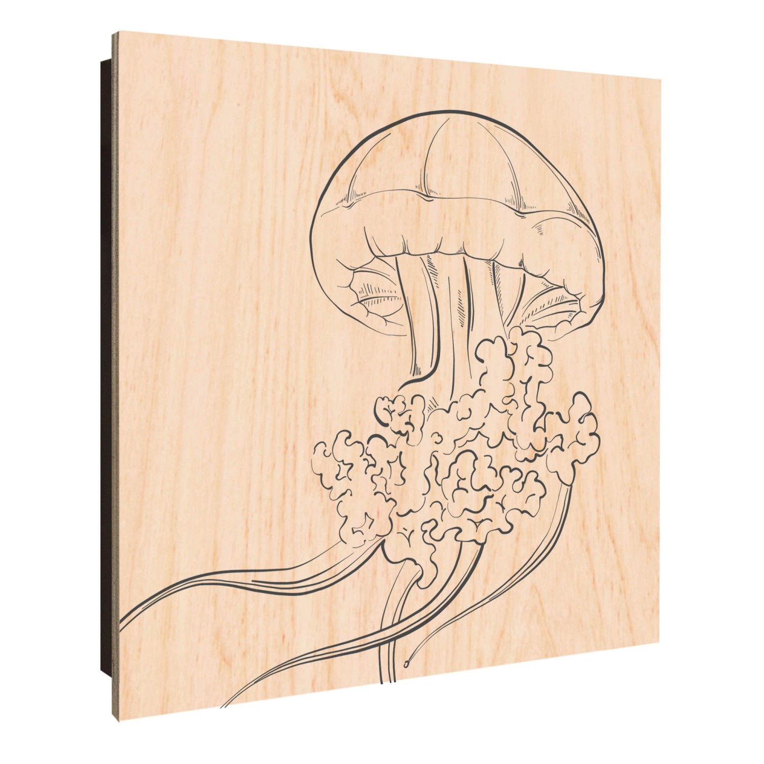 Banjado Großer Schlüsselkasten Holz 30x30cm Schwarz Scharnier Links 50 Hake günstig online kaufen