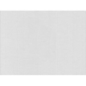 Meistervlies Protect Vliestapete mit Sprenkelputz-Optik, überstreichbar.