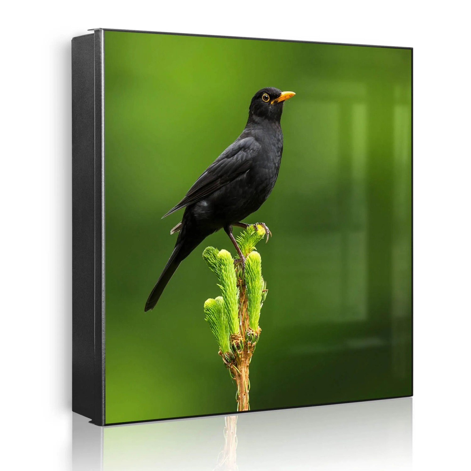 Banjado Großer Schlüsselkasten Metall 30x30cm Schwarz Scharnier Links 50 Haken Beschreibbar Magnetisch Motiv Vogel Auf Tannenzweig