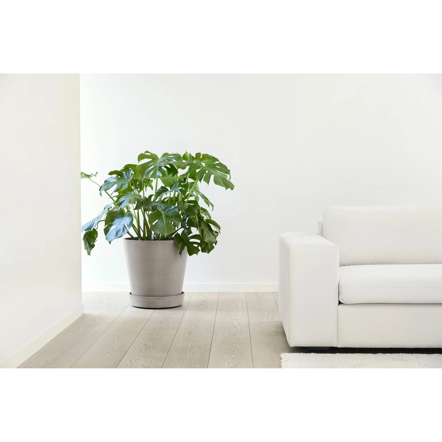 Ecopots Untersetzer Amsterdam Rollen Taupe, 41,6 cm, mit Pflanze in modernem Wohnraum.