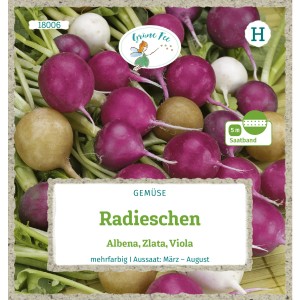 Saatband Grüne Fee Radieschen Albena Zlata Viola, mehrfarbig. Gemüse-Saatgut für den Garten.