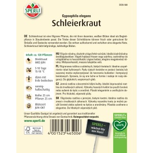 Sperli Schleierkraut Samen, Gypsophila elegans, weiße Blüten für Beet und Vase.