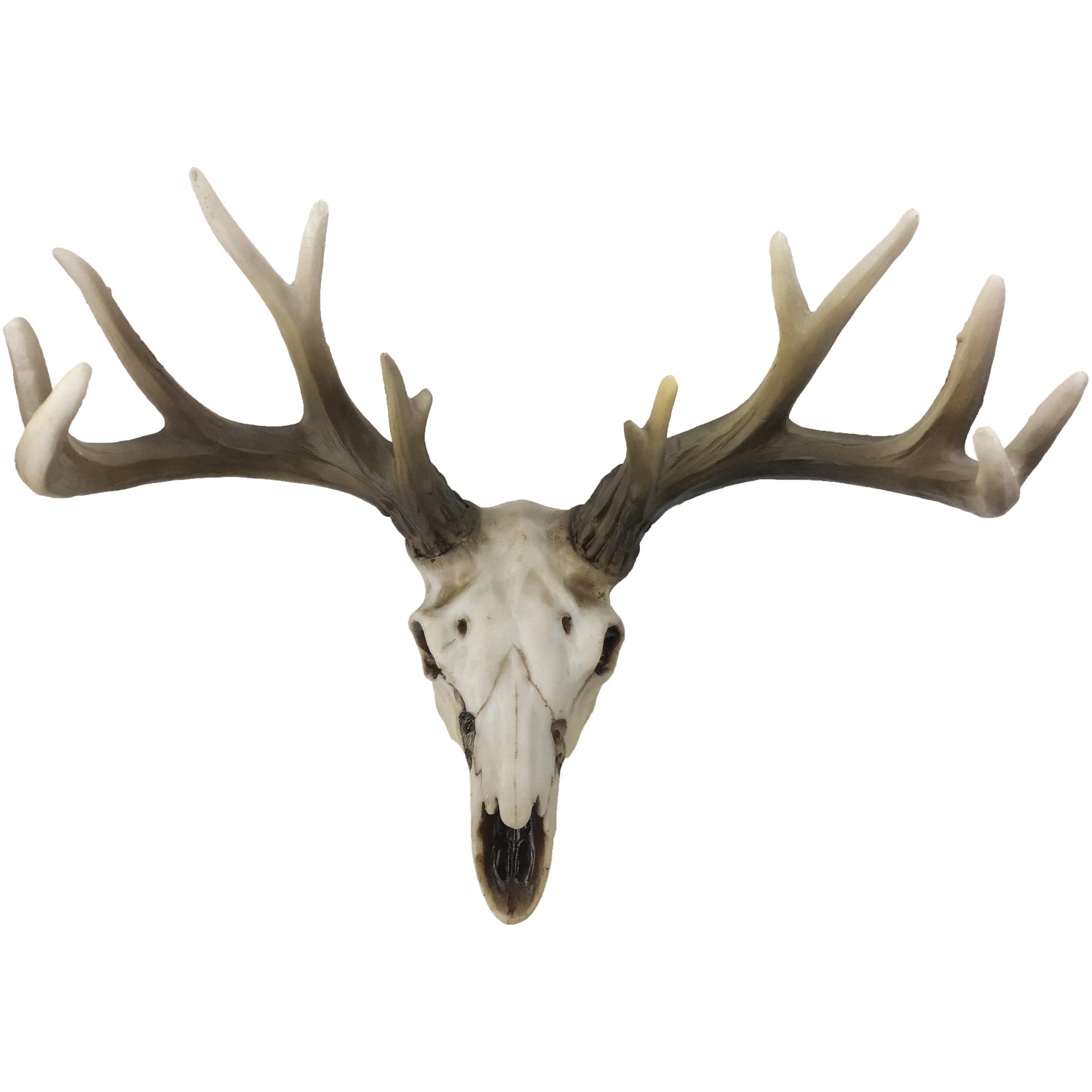 Rehgeweih Rehbock Reh Geweih Bock Gehörn Von Geweihe & Trophäen Krumh, € 34,90