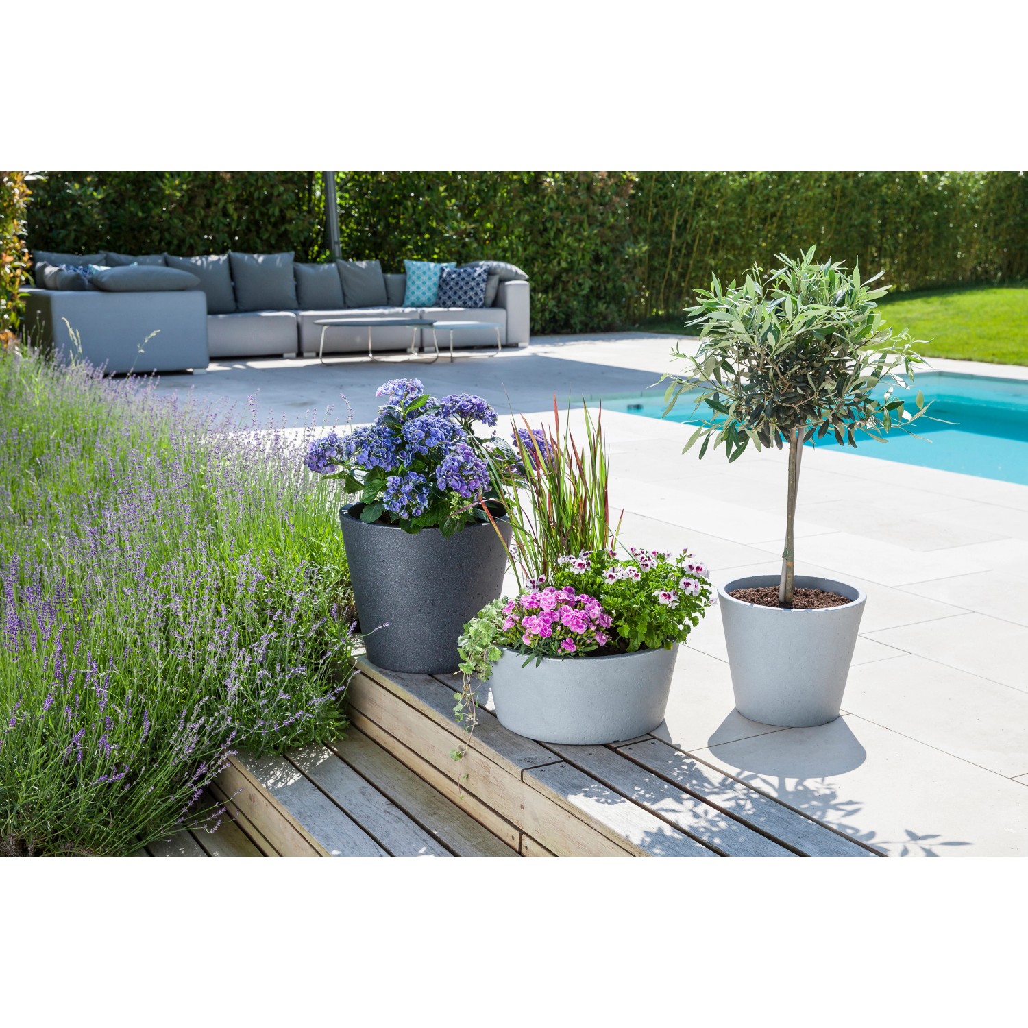 Scheurich C-Cone Pflanzgefäße in Stony Grey und Grau mit Bepflanzung im Garten.