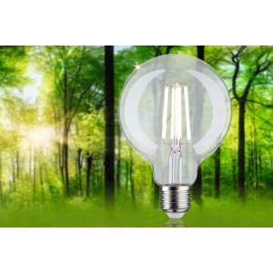 Paulmann E27 LED Leuchtmittel in Globeform, 4W, neutralweißes Licht vor grünem Hintergrund.
