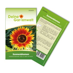 Sonnenblumen 'Herbstschönheit' Samen von Deine Gartenwelt. Einjährige Sorte mit farbigen Blüten.