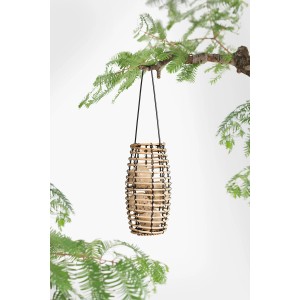 SingingFriend Vogelfutter-Spender Faya aus Rattan, hängend im Baum.