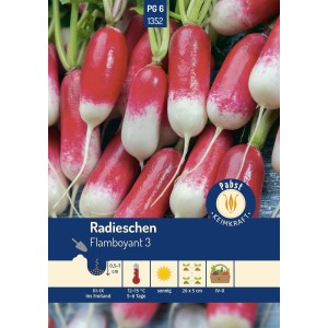 Samen für Radieschen 'Flamboyant 3': Lang, zweifarbig (rot/weiß).