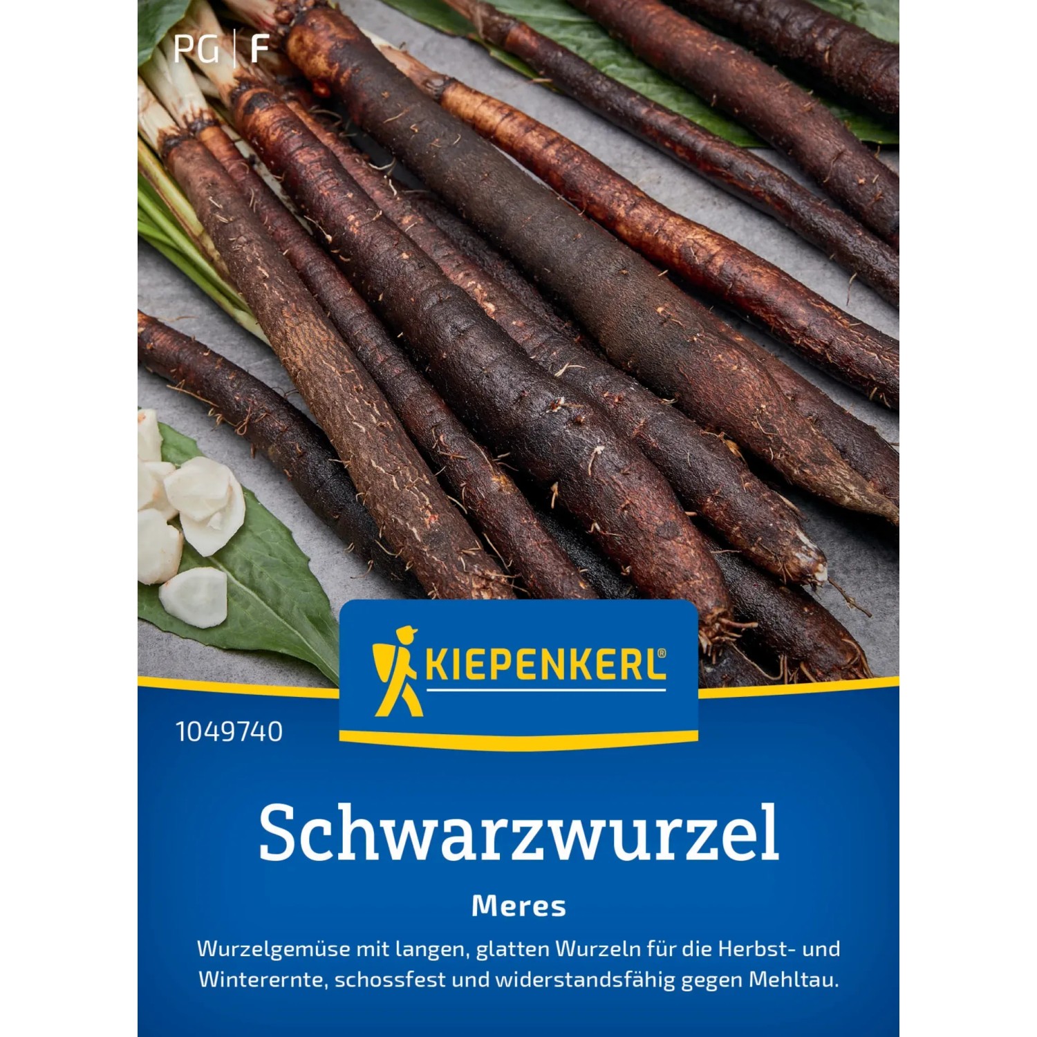 Kiepenkerl Schwarzwurzel-Saatgut 'Duplex' – Für 3–5 Lfd. Meter, Wurzeln 30–40 Cm, Schossfest