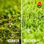 Vorher-Nachher-Vergleich mit Vorox Unkrautfrei Express: Unkrautbekämpfung im Beet.