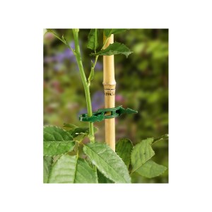 Grüne Pflanzenbinder (50 Stk.) an Pflanze und Bambusstab zur Fixierung im Garten.