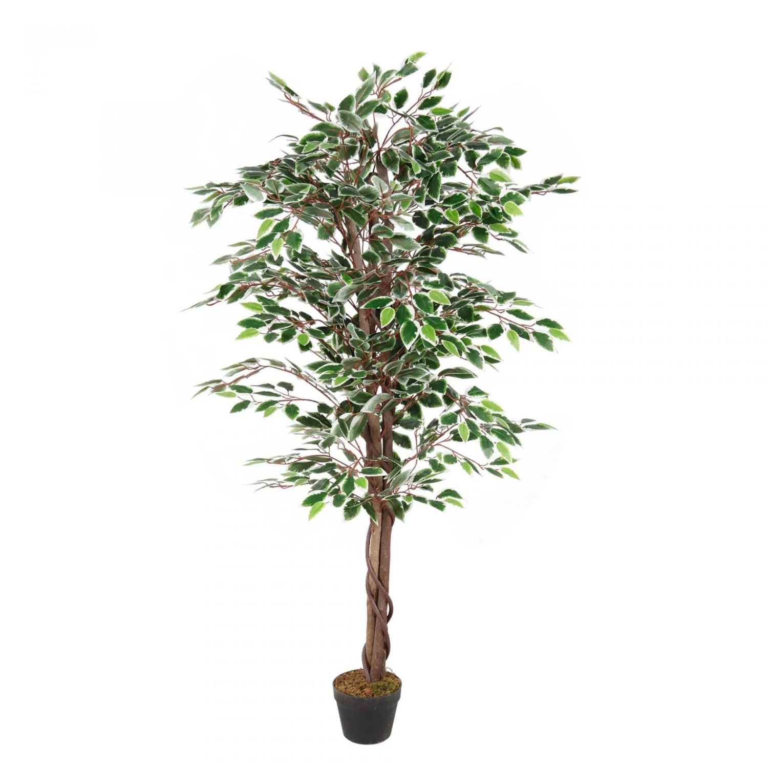 Lex Kunstpflanze Ficus Dekobaum Holz Zimmerpflanze Kunstbaum 1008 Blätter 160cm