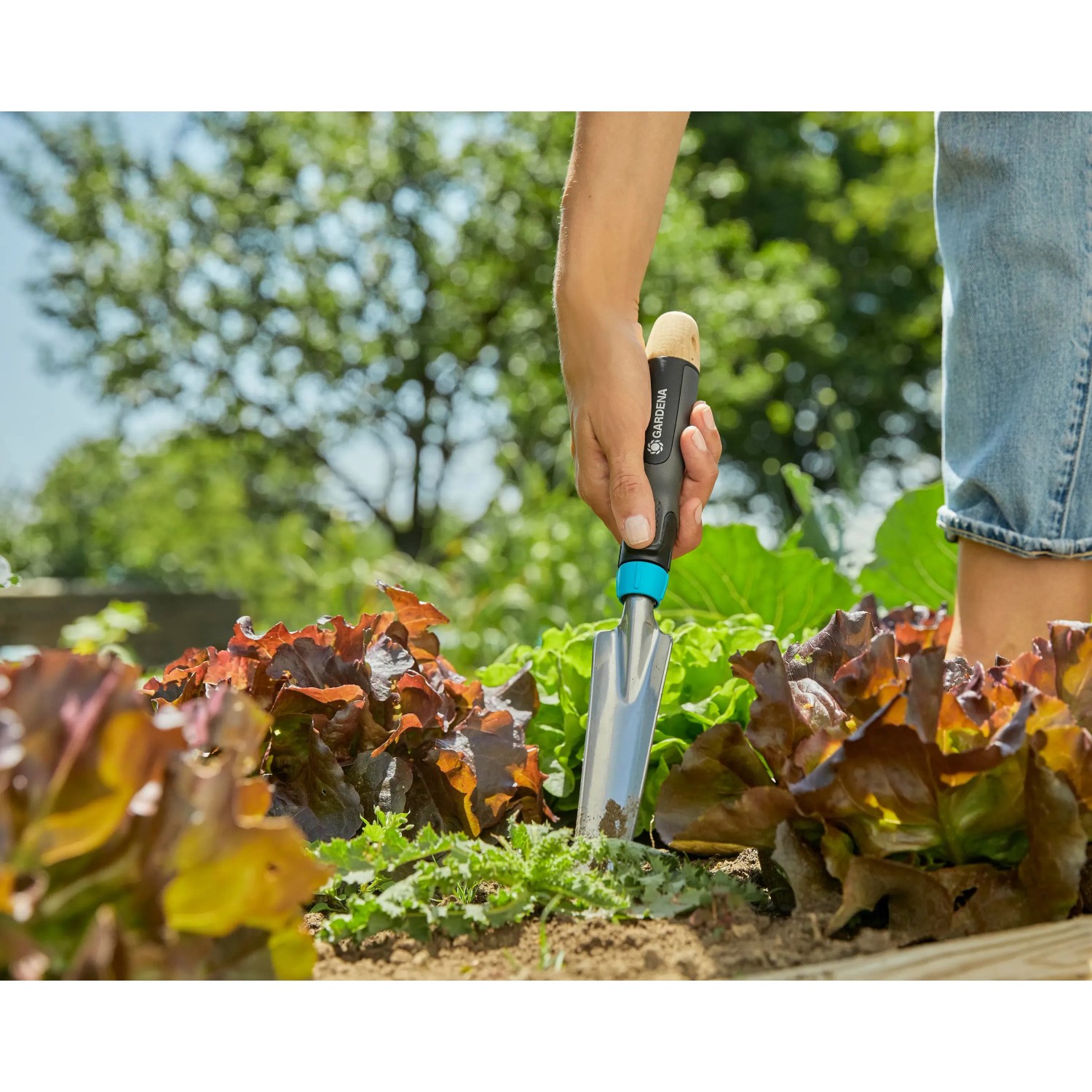 Gardena EcoLine Unkrautstecher im Einsatz: Unkraut entfernen im Gartenbeet.