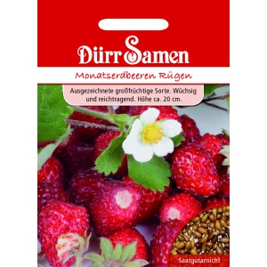 Dürr Samen Monatserdbeeren Rügen: Saatgut-Packung mit roten Erdbeeren und Blüte.