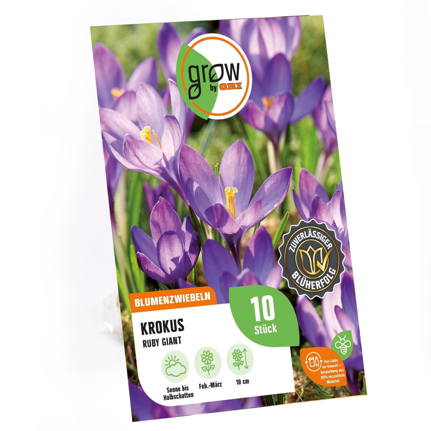 GROW by OBI Krokus Ruby Giant Blau 10 cm Crocus tommasinianus günstig online kaufen